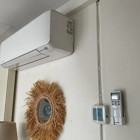 Appelbloesem 베르겐